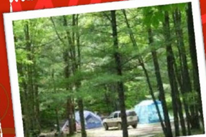 WCA Family Camp 2015