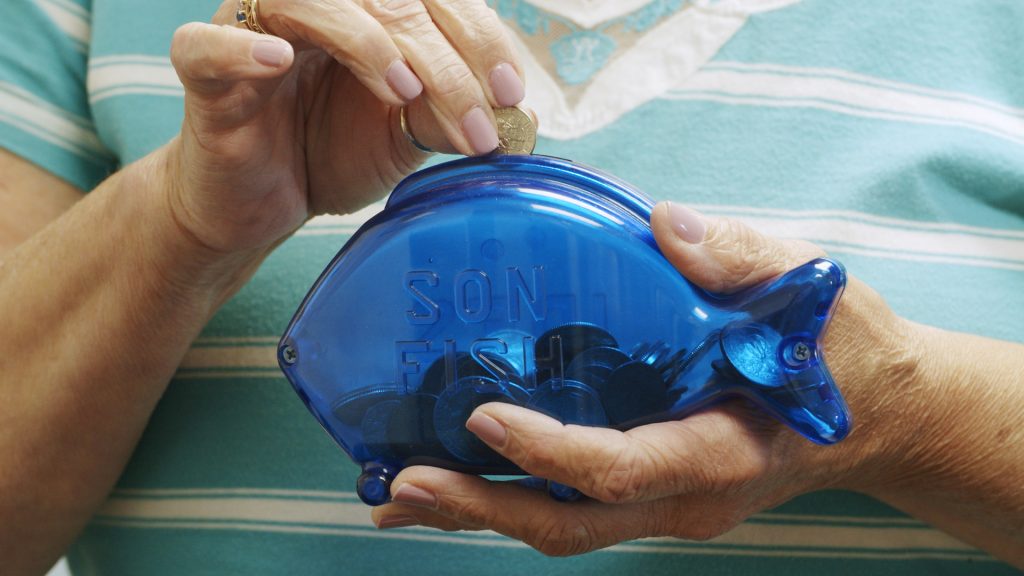 IDES Son Fish - Kalkaska