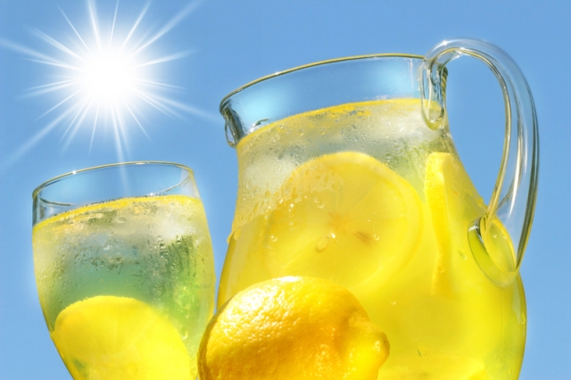 Sunshine and Lemonade at Kalkaska Church of Christ Summer 2022