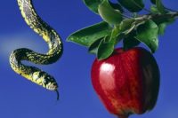 Fruit in the Garden of Eden with Snake