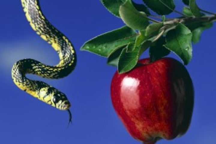 Fruit in the Garden of Eden with Snake